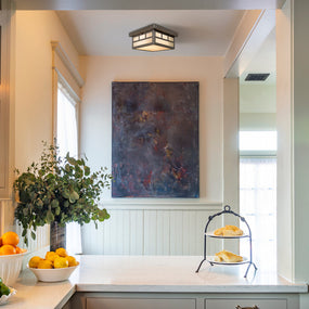 Brookdale Drop Ceiling Mount Lights